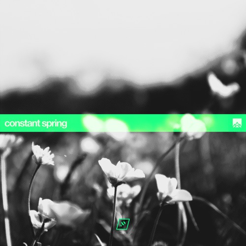 Boxplot - Constant Spring