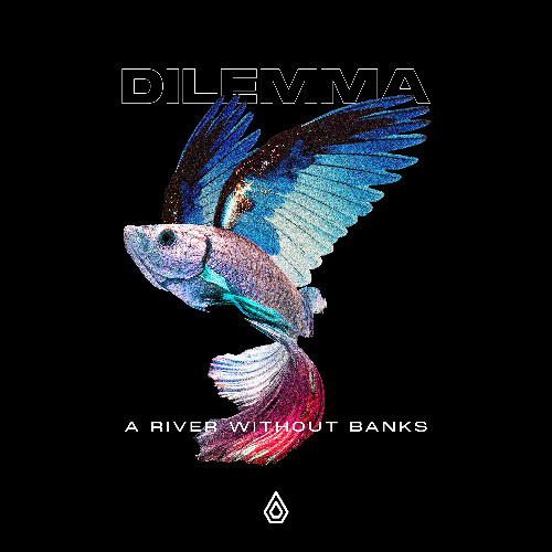 Dilemma - You Do It To Me - Spearhead Records