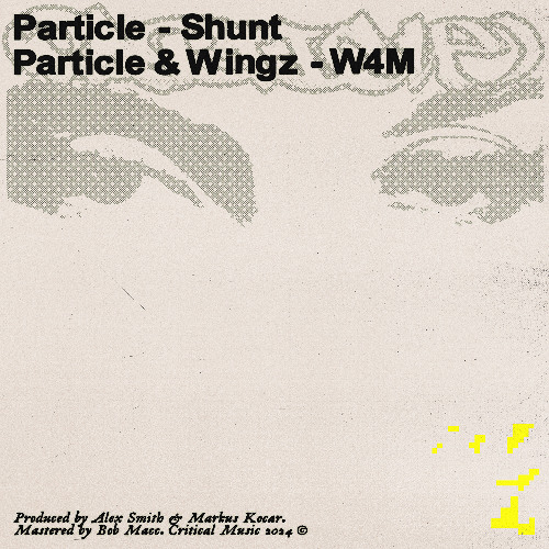 Particle & Wingz - W4M