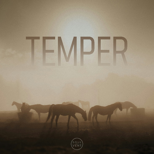 Temper (ft. Jasq)