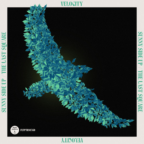 Velocity - Sunny Side Up