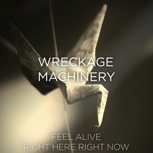 Wreckage Machinery - Right Here Right Now