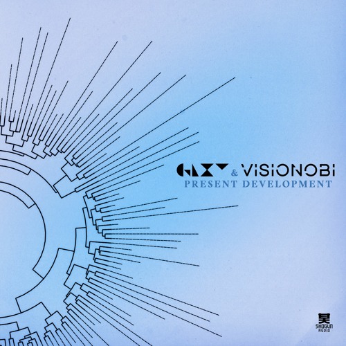 Development w/ Visionobi