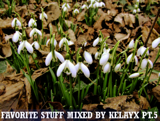 Favorite Stuff mixed by Kelayx pt.5