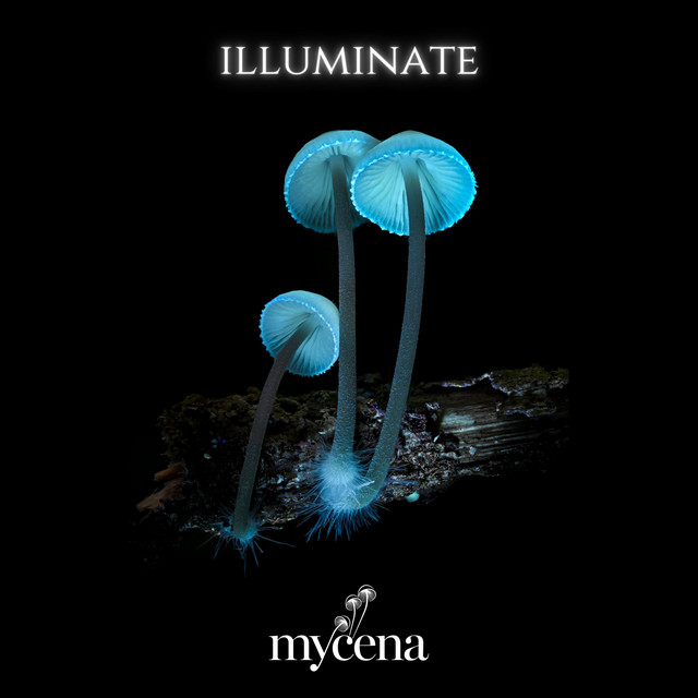 Mycena Media - Illuminate cover
