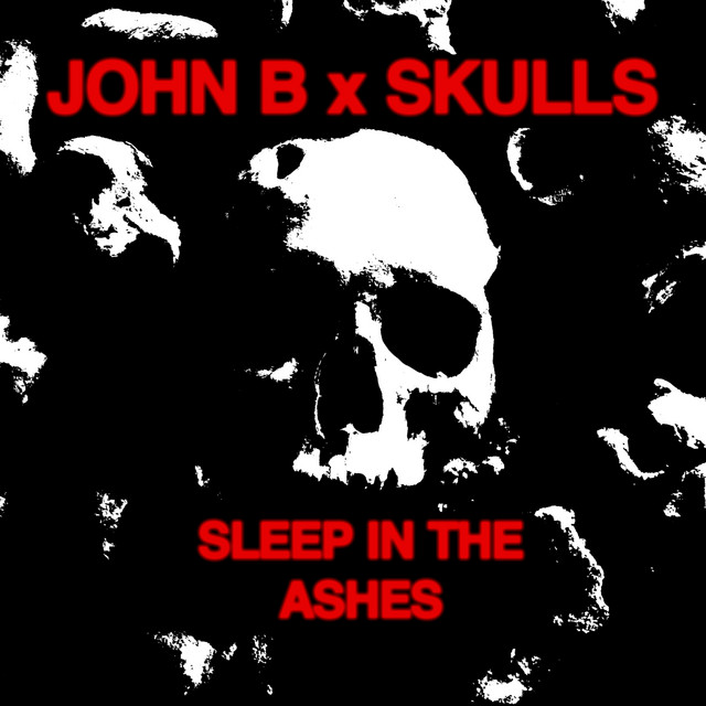 Sleep in the Ashes cover