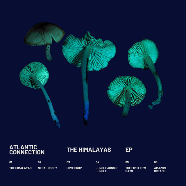 The Himalayas EP cover