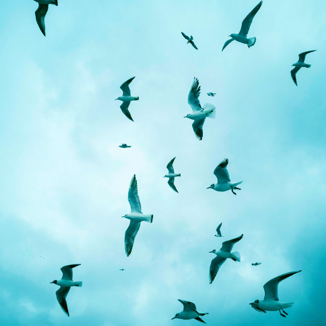 Летим cover