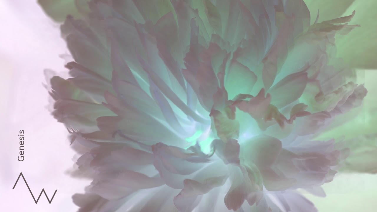 Aeon Waves - Genesis | #DnBIndiaPremieres