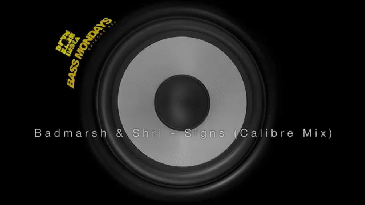 Badmarsh & Shri - Signs (Calibre Mix)