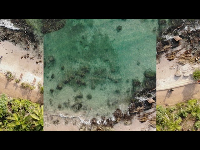 Hillsdom - What I Need [Pilot Release]