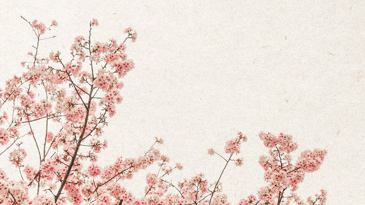 Nelver & pyxis - Gravity [Pilot Release]