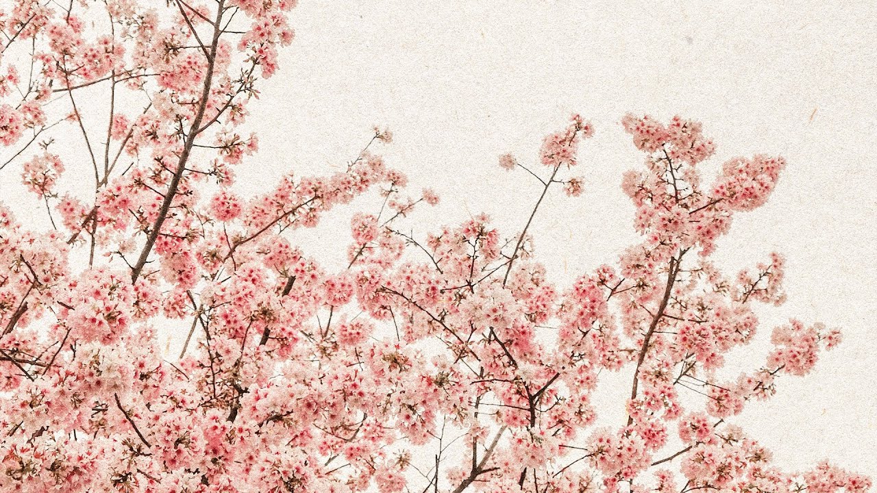 Nelver - Sakura [Pilot Release]