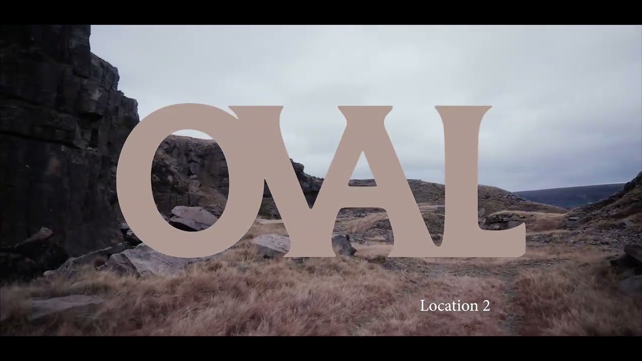 Rohaan - i don't recognise you anymore (Official Visualizer)