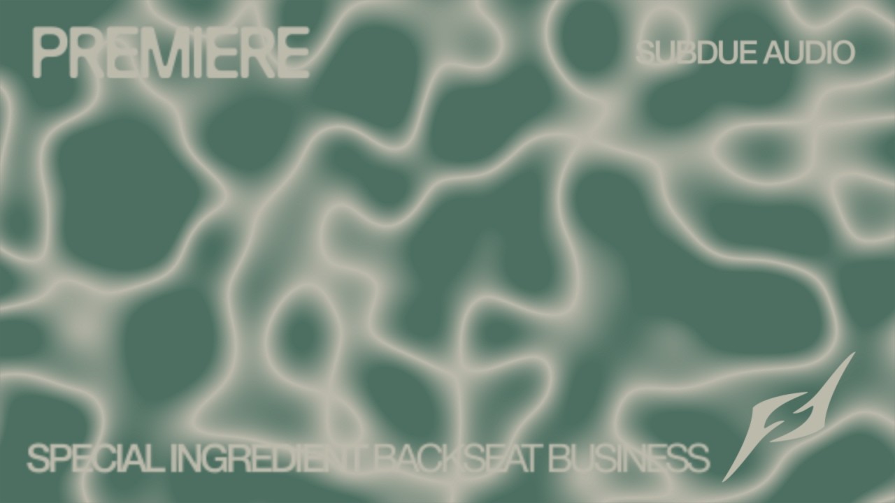 Special Ingredient - Backseat Business